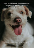 How to Create Raw and Home Cooked Dog Food That Meets Nutritional Standards